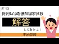 実地問題解答してみた！　愛玩動物看護師国家試験　合格祈願