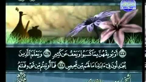 تلاوة خاشعة سورة الشورى الشيخ سعد الغامدي