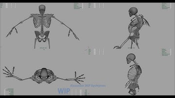 Scapula Rigging Advanced