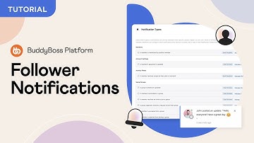Get Notified of your Followers Activity | New Notification Type | BuddyBoss