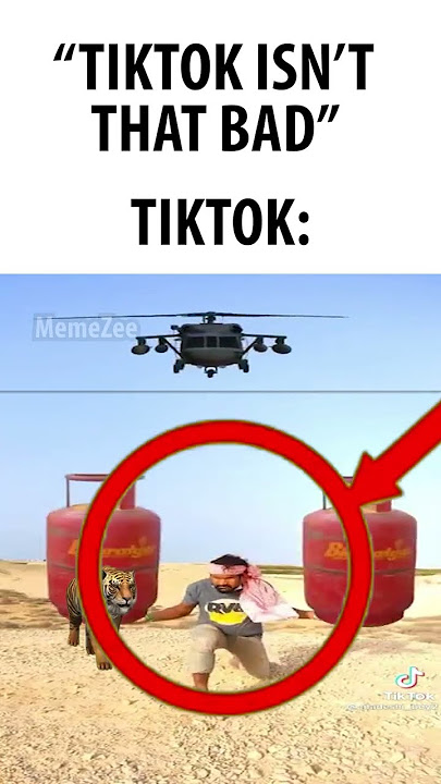 TikTok Moment🗿