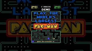 [TeknoParrot Linux] World's Largest Pac-Man™ - Vertical Gameplay (RTX GPU)