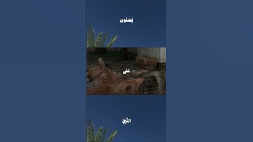قرآن كريم بصوت جميل ستوريات دينيه ستوري انستا قرآن ستوريات بدون حقوق ❤️