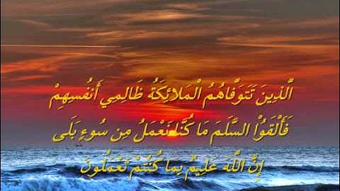 تلاوة خاشعة (ما تيسر من سورة النحل  ) صلاح البدير