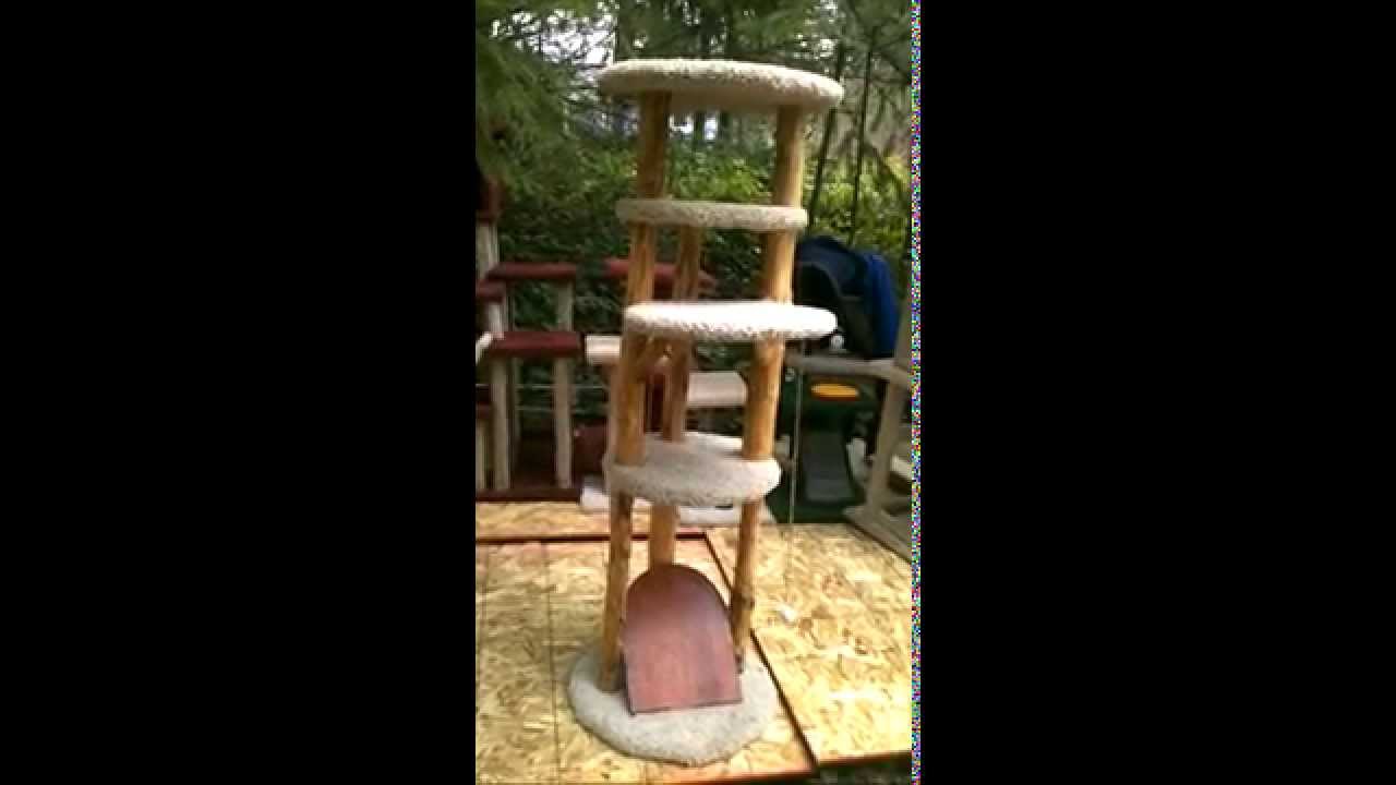 VERY CUSTOM LARGE NATURAL CAT CONDO... YouTube