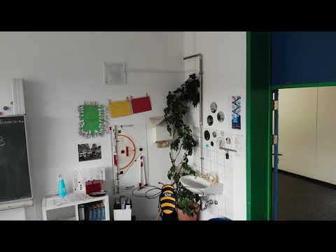 GSG Velbert - Bee Movie - Virtuelle Schulführung