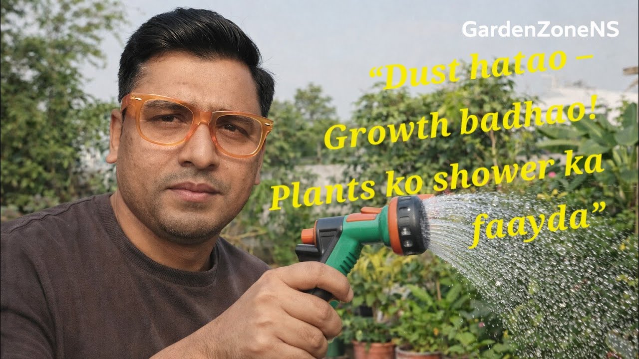 “Yeh galti mat karo! Plants ko shower dena hai zaroori 🚿” 