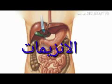 الدرس3 للسنة 4متوسط علوم (الانزيمات)
