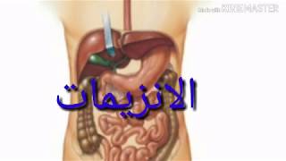 الدرس3 للسنة 4متوسط علوم (الانزيمات)