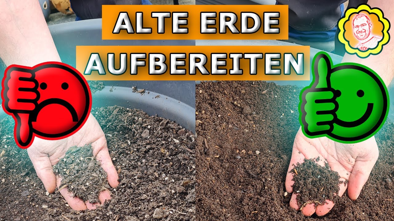 Alte Erde aufbereiten und immer wieder neu nutzen: Einfach erklrt.