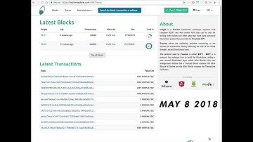 Fracton Block Explorer Full Version