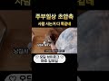 하루를 30시간으로 사는 #30대 #주부 #브이로그 #고양이 #육아 #취미 #일주일