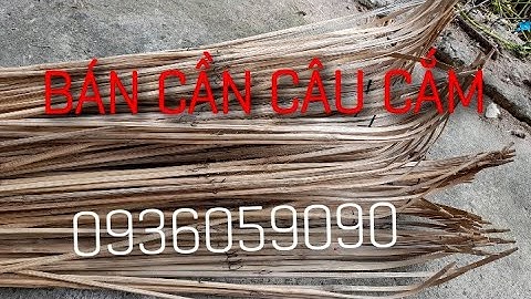 Bán cần câu cắm cá lóc, 0936059090
