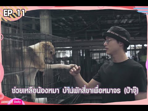 เจมส์จิ ช่วยเหลือน้องหมา บ้านพักสี่ขาเพื่อหมาจร ( ป้าจุ๊ )