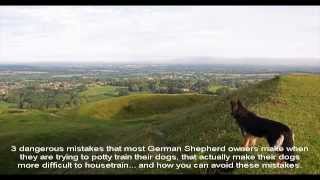 German Shepherd Breeders NC Place