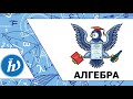 Разбор онлайн этапа олимпиады ФизТех 2021 (1 часть)