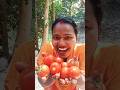 Empty Hand 🤲 vs Tomato Surprise 🍅 = Magic Tree Comedy 😀😁😀