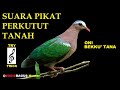 Suara Pikat Perkutut Tanah, Try Trick