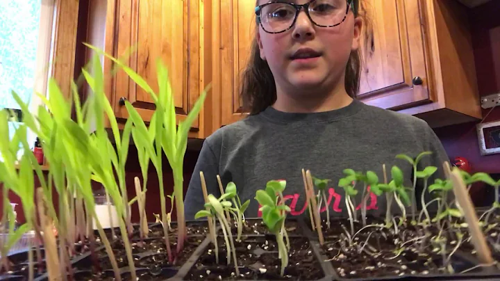 Plant update!