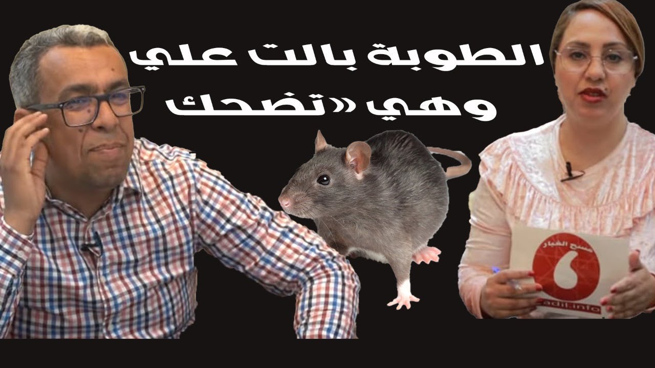 طرائف مثيرة مع الطوبة في عكاشة