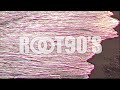 夏休み/Root90s MV☆