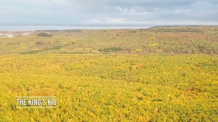 Inspirations By Dr. PJ - Daily Devotion. "The King's Kid"