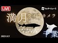 【天体ライブ】満月ライブカメラ スタージョンムーン・チョウザメ月/千葉県・幕張 2025年8月9日(土) ウェザーニュースLiVE