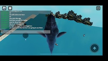 how to get all modern badges in shark rp thingy
