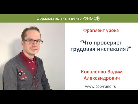 Что проверяет трудовая инспекция?