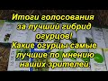 Огурец №1 по рейтингу зрителей канала "Сад, огород, своими руками!"