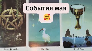 РАСКЛАД события Мая 🥰 К ВАМ ИДЁТ ЛЮБОВЬ  ТАРО🌠😻 #ЛЮБОВНОЕГАДАНИЕ #ЛЮБОВЬ #впотоке #раскладтаро