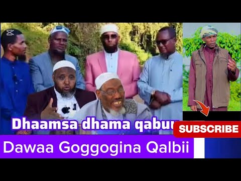 Dawaa Goggogina Qalbii Fi Gorsa Bareeda Dhagefadha