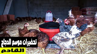 كيف استقبل موسم الدجاج وماهي متطلباته/ لا تجعل دجاج البراهما مشروعك الخاص?