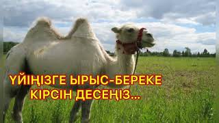Үйіңізге ырыс-береке кірсін десеңіз… мағыналы әңгіме