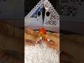 Hunting toy for a orange car #toys #huntingmainan
