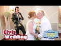 Nicky  tonys elvis wedding in las vegas  graceland chapel