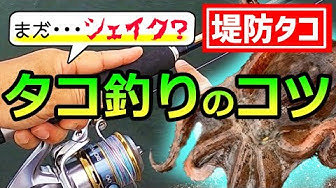 タコ釣り Youtube