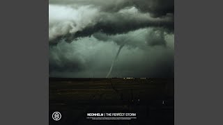 Famous The Perfect Storm (Extended Mix) Net Worth