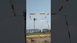 Denbagus Player Masa Depan Team Panasonic