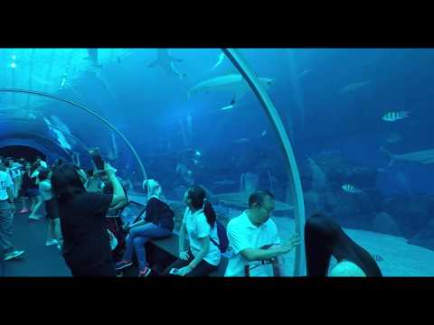 SEA Aquarium Sentosa