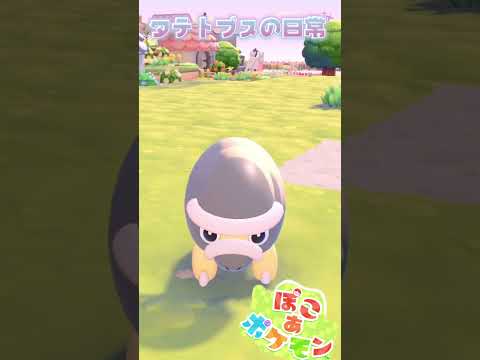 【ぽこあポケモン】タテトプスの可愛いすがた