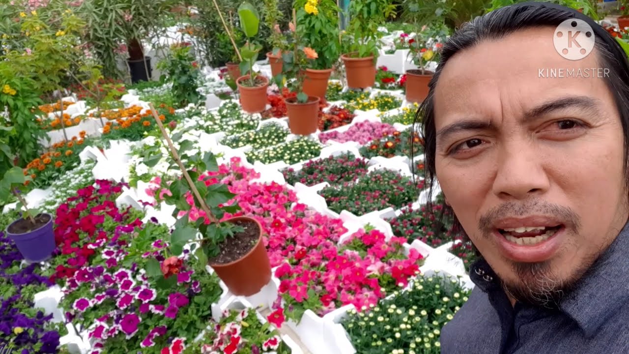 forest inside the city(RIYADH) - YouTube