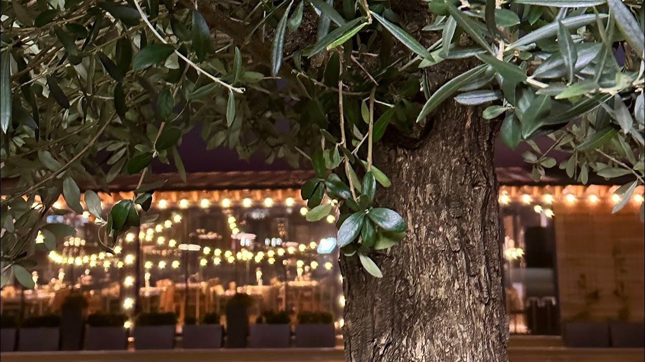 Сочи жилой модуль сауна Сочи жилой модуль сауна