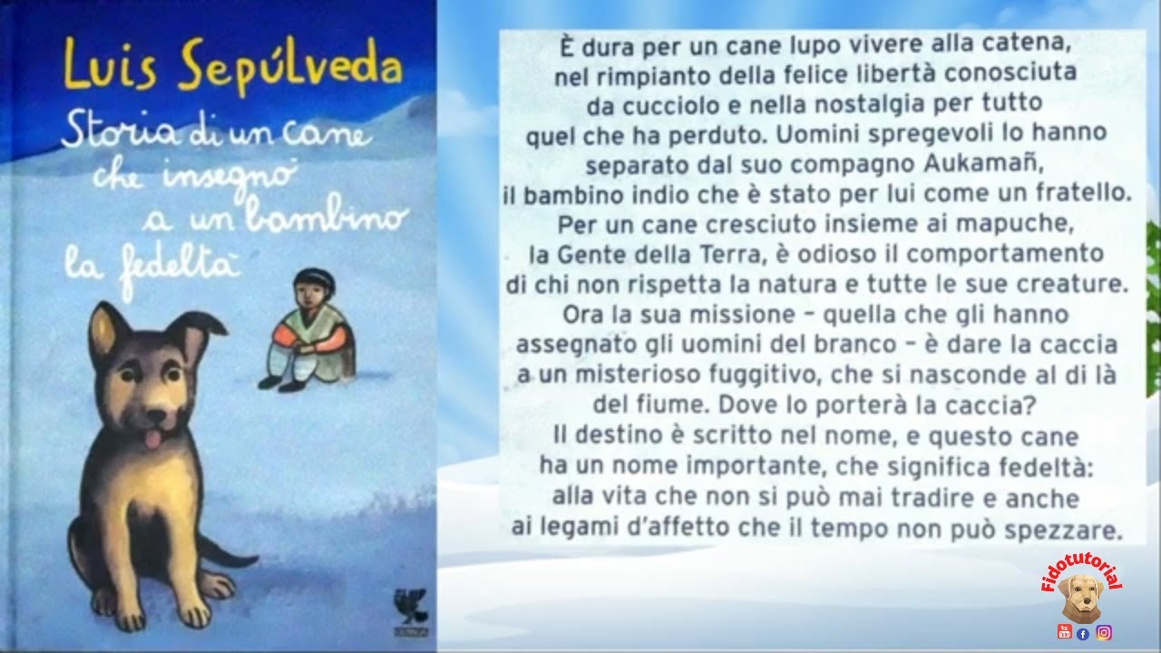 Storia di un cane che insegnò a un bambino la fedeltà ( Parte prima ...