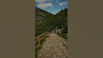 سورة الطلاق - الآية ٣