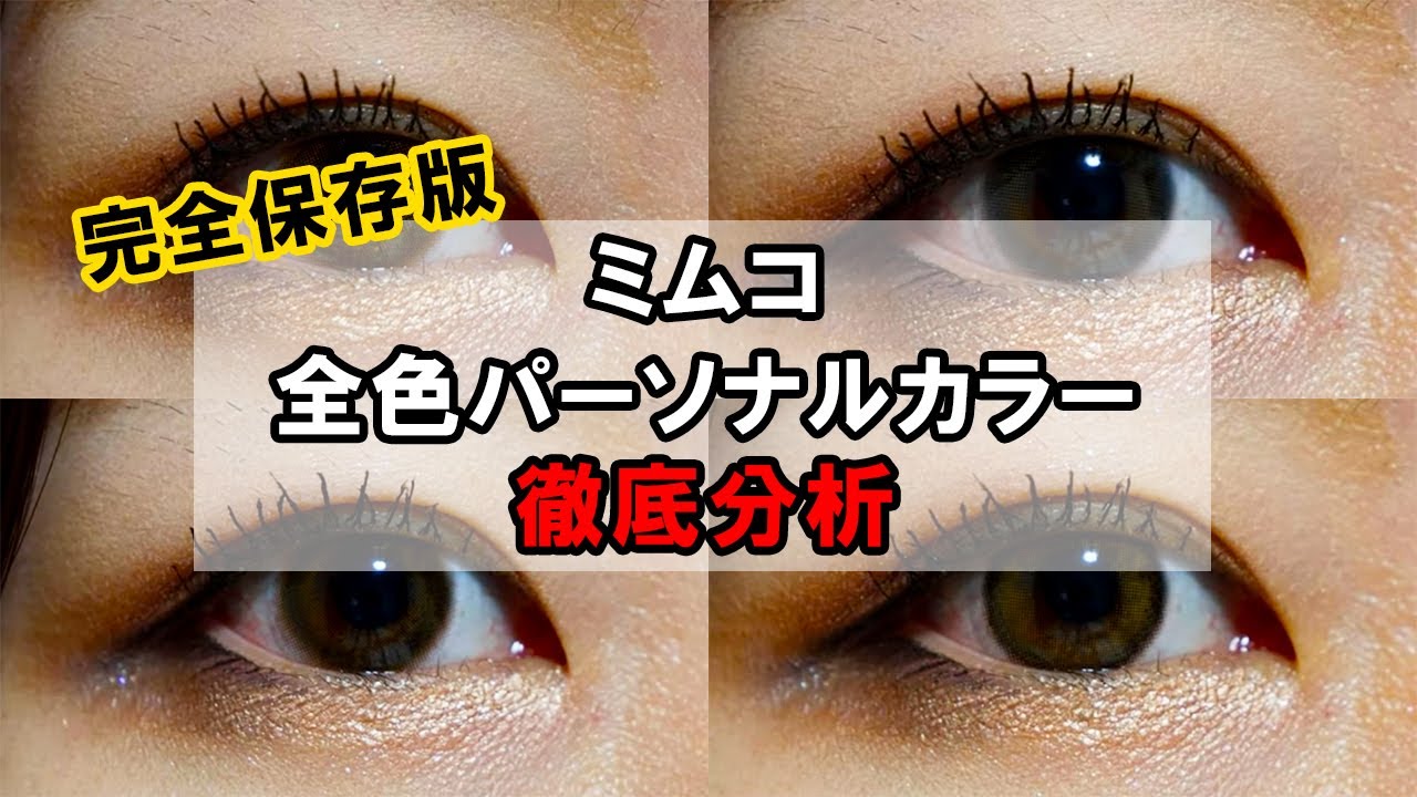 プロミムリーフレット