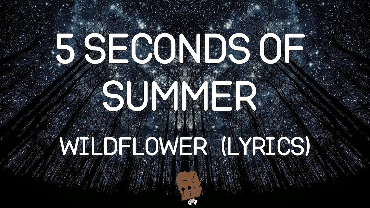 5sos Wildflower (Lyrics) YouTube