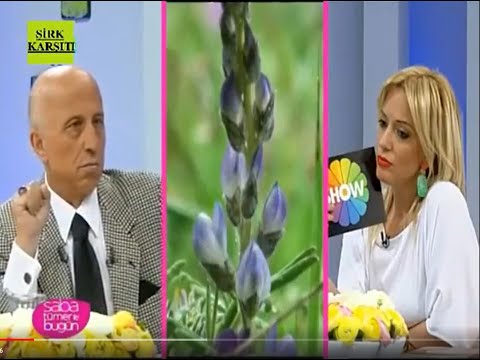 Yaşar Nuri Öztürk Saba Tümer ile Bugün 04.05.2012