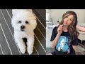 Some more cute sykkuno and pokimane moments