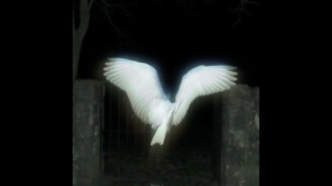 [free] tana + untiljapan type beat - "notenough"